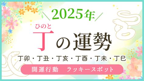 丁未 強運|丁未の2025年の運勢は？男女別の性格や相性の良い。